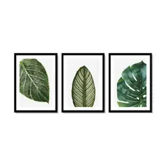 ALCUADRADO - Set Triple Cuadros Hojas vectorial Negro 50x40 cm