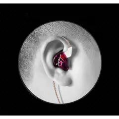 GENERICO - Audífonos Inears ZST + Espumas acústicas + Estuche.