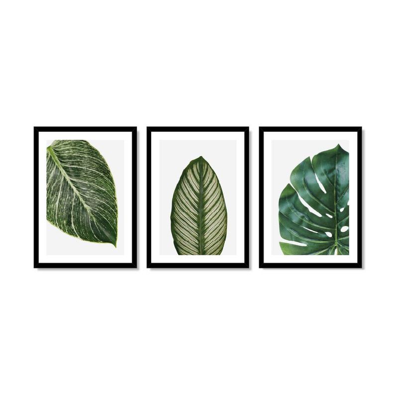 ALCUADRADO - Set Triple Cuadros Hojas vectorial Negro 70x50 cm