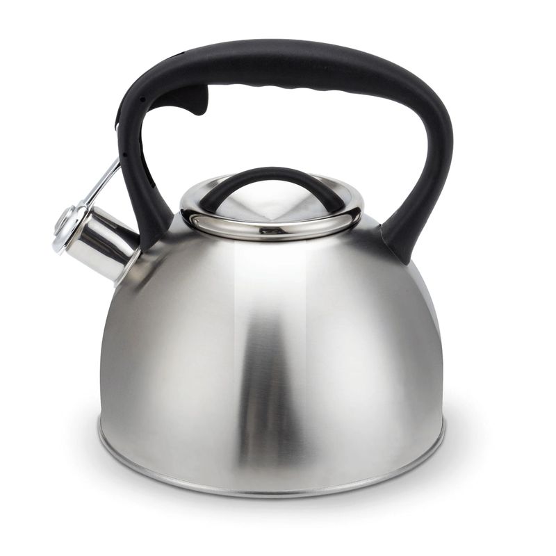 WENS - Tetera con Silbato de Acero Inoxidable 3 Litros Plateado