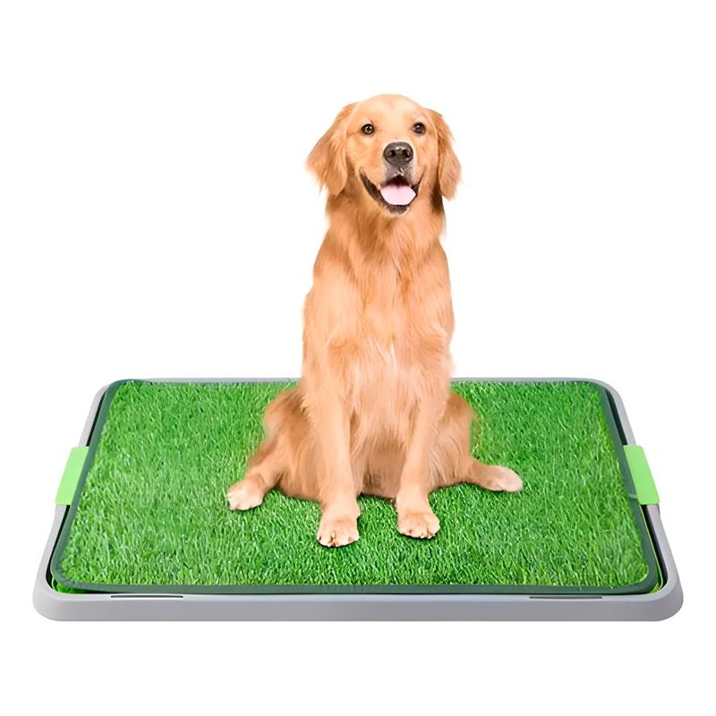 GENERICO - Tapete Pasto Sintético Entrenamiento Mascotas Baño