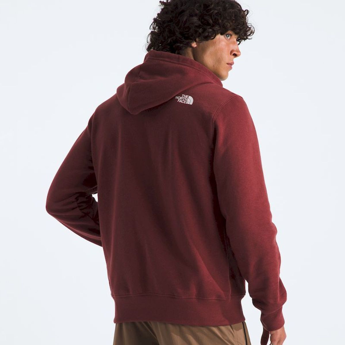 THE NORTH FACE - Poleron Immersed Outdoors Half Dome Hoodie Hombre - Rojo