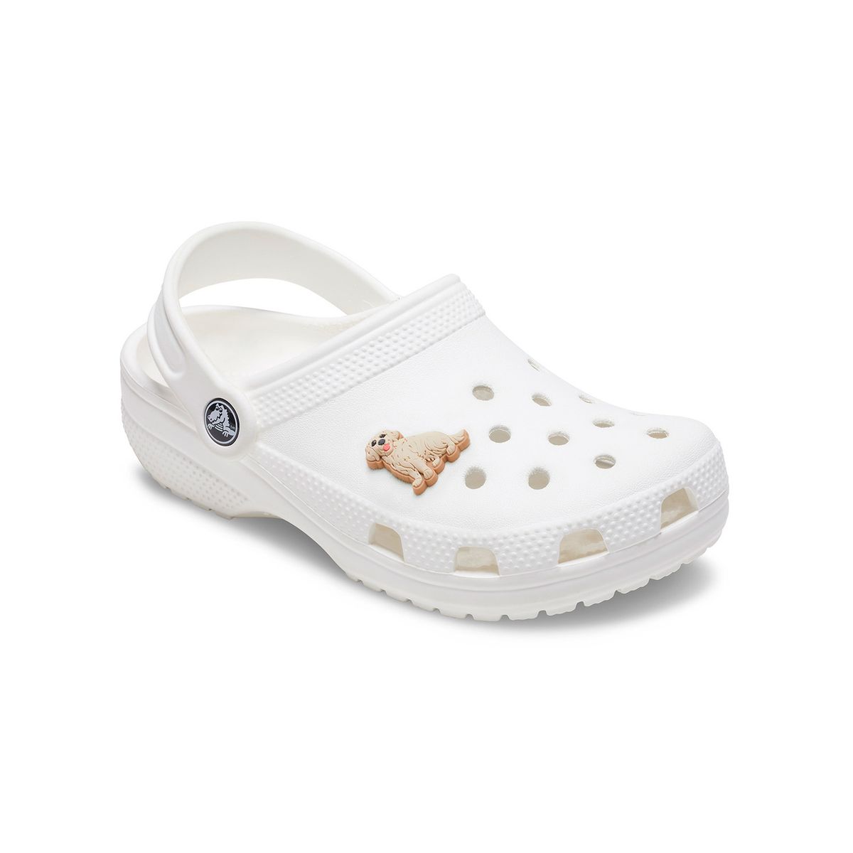 CROCS - Jibbitz Perro Golden Retriever Café CROCS