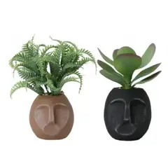 HOME ESSENTIALS - Set 2 maceteros de resina con suculentas