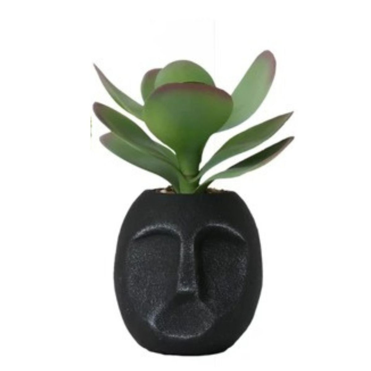 HOME ESSENTIALS - Set 2 maceteros de resina con suculentas