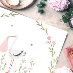 LAFANTINA - INDIVIDUALES DE PAPEL REUTILIZABLES BABYSHOWER ROSA