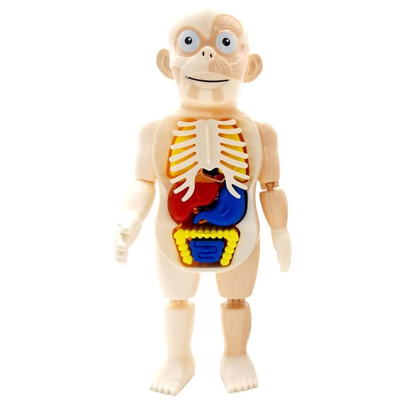 OEM - Juego Rompecabezas Anatomía del Cuerpo Humano Niños 55706