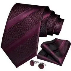 SN SONEC - Corbata hombre formal seda con paño y colleras Uva Negra