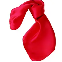 VIVAFELICIA - Pañuelo Bandana Romina Rojo
