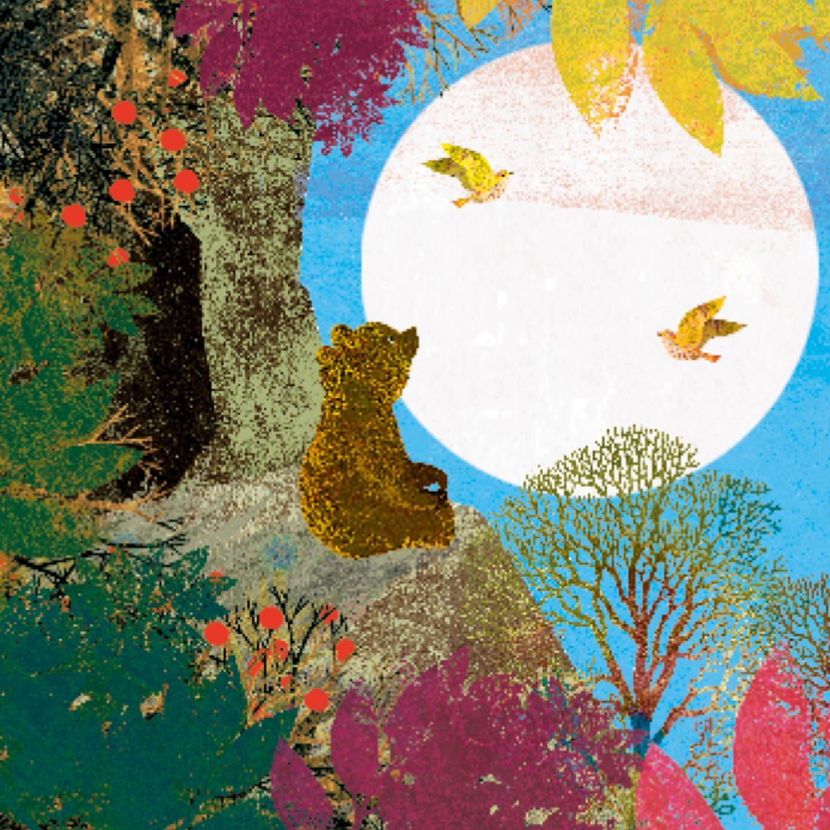 NUBEOCHO - Un hogar para pequeño oso