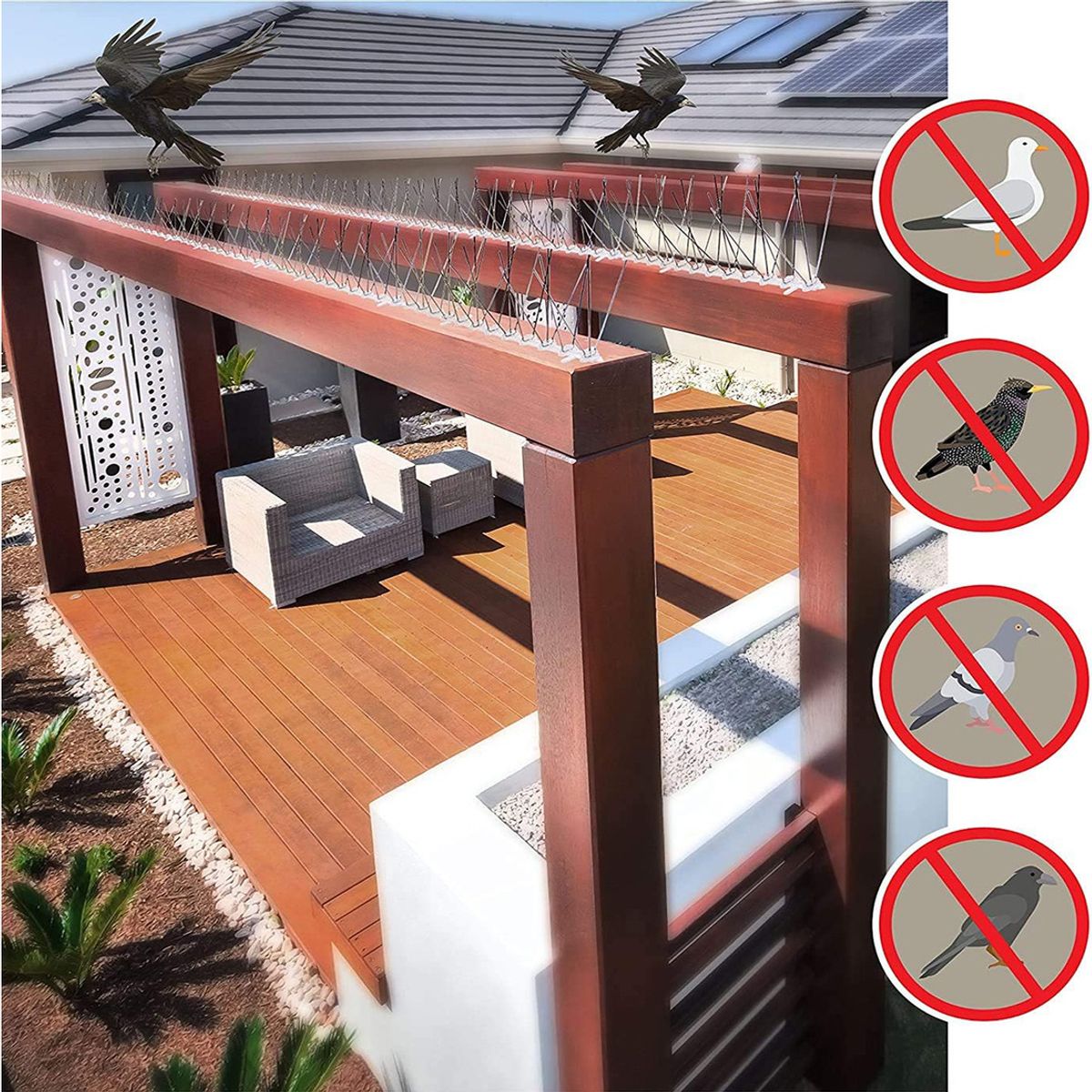 GENERICO - 10 Piezas Púas Repelentes Palomas Anti Aves Ahuyentador