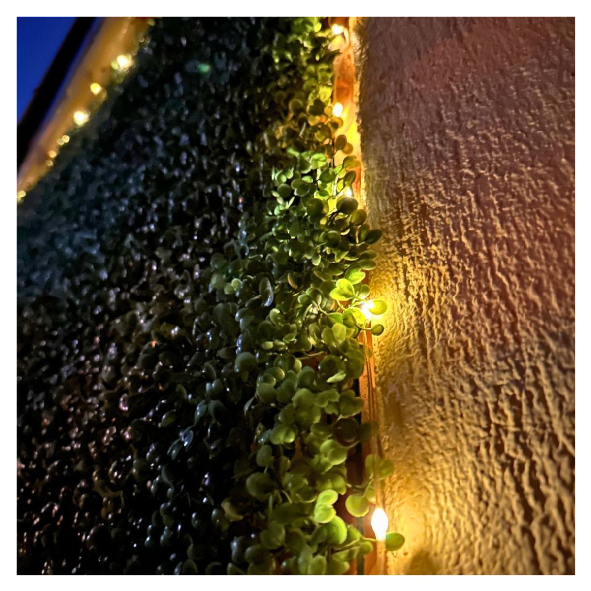 GENERICO - Luces Hada XL Solares - 5 m Luz Cálida IP65