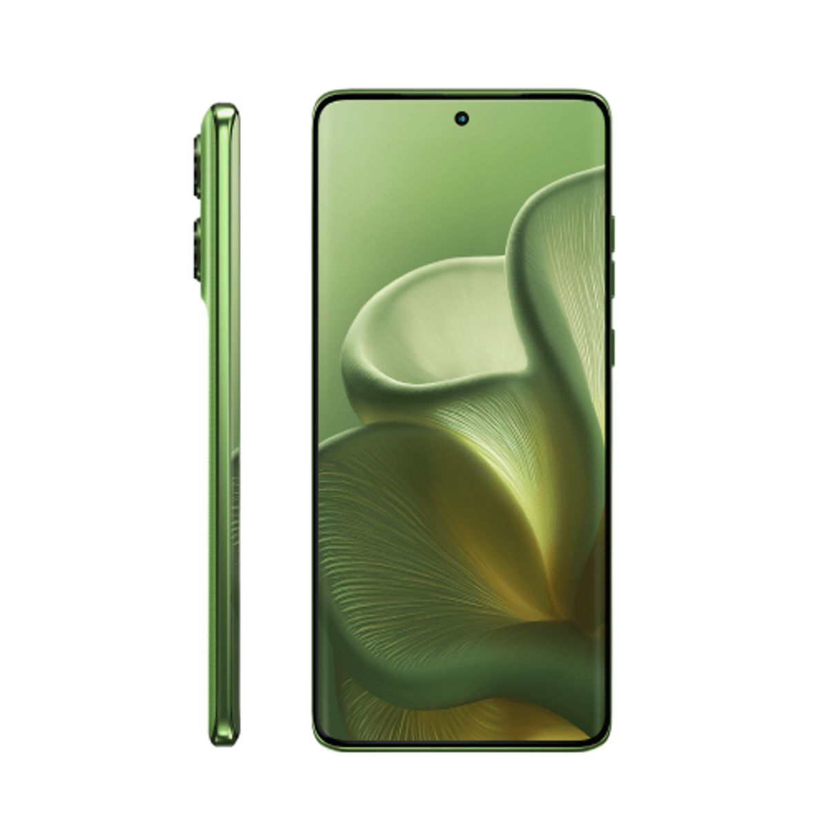 MOTOROLA - Motorola Edge 60, Smartphone 5G 6.67", 12GB RAM, 256GB, Cámara 50 MP, Verde
