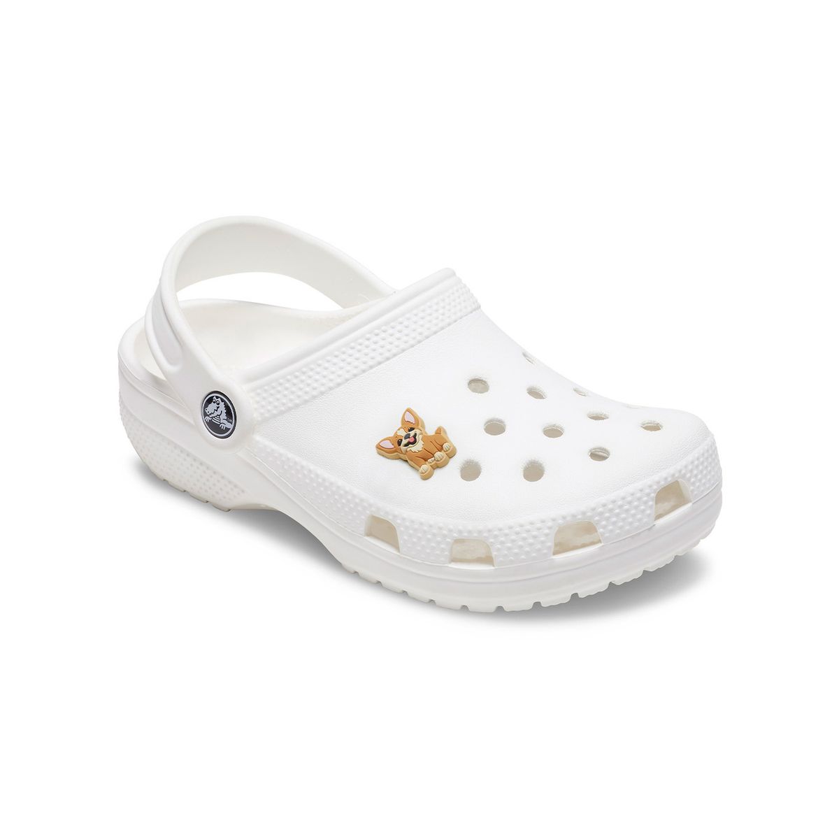 CROCS - Jibbitz Perro Chihuahua Café CROCS