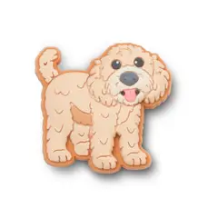 CROCS - Jibbitz Perro Golden Doodle Café