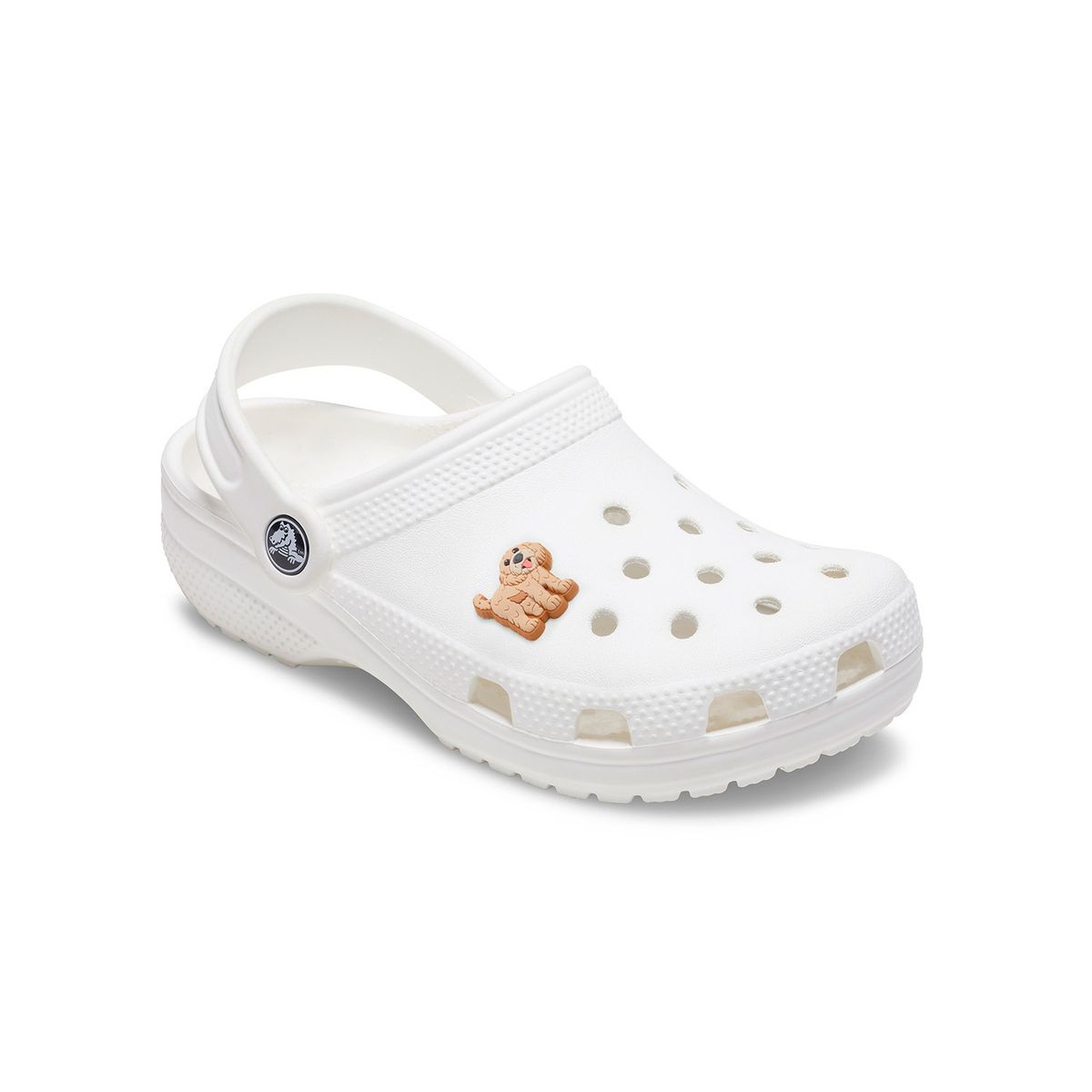 CROCS - Jibbitz Perro Golden Doodle Café CROCS