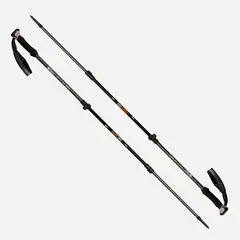 LIPPI - Bastones Escape Trek Pole Gris