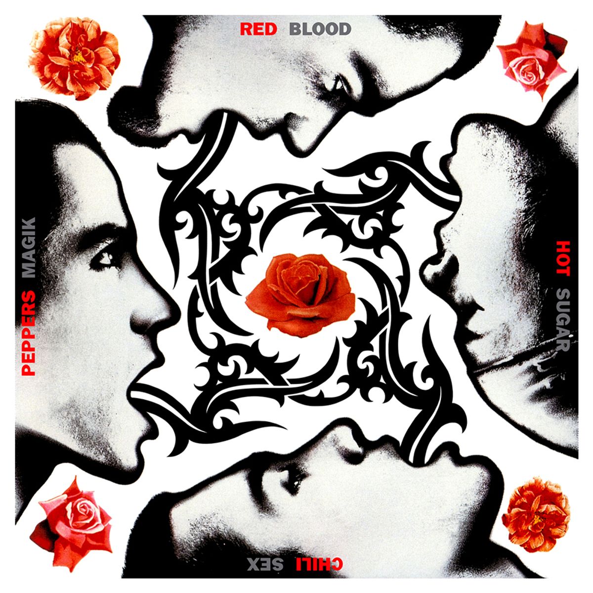 WARNER MUSIC - Red Hot Chili Peppers - Blood Sugar Sex Magik - Vinilo Doble