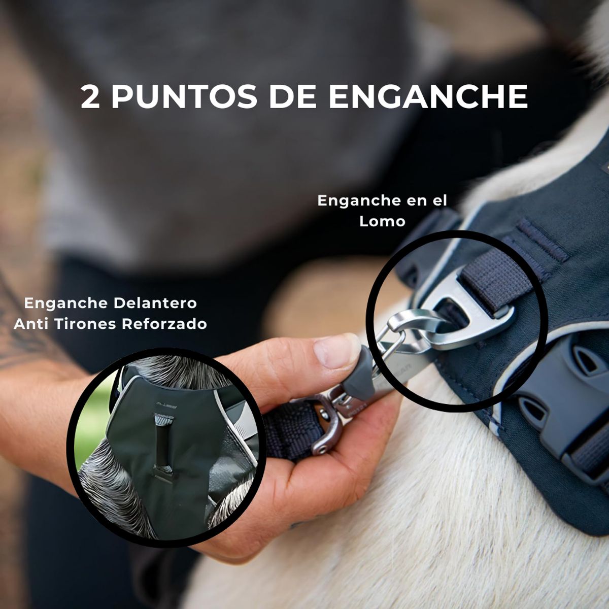 GENERICO - Arnés Anti-Tirones Acolchado Perros - Naranjo XL