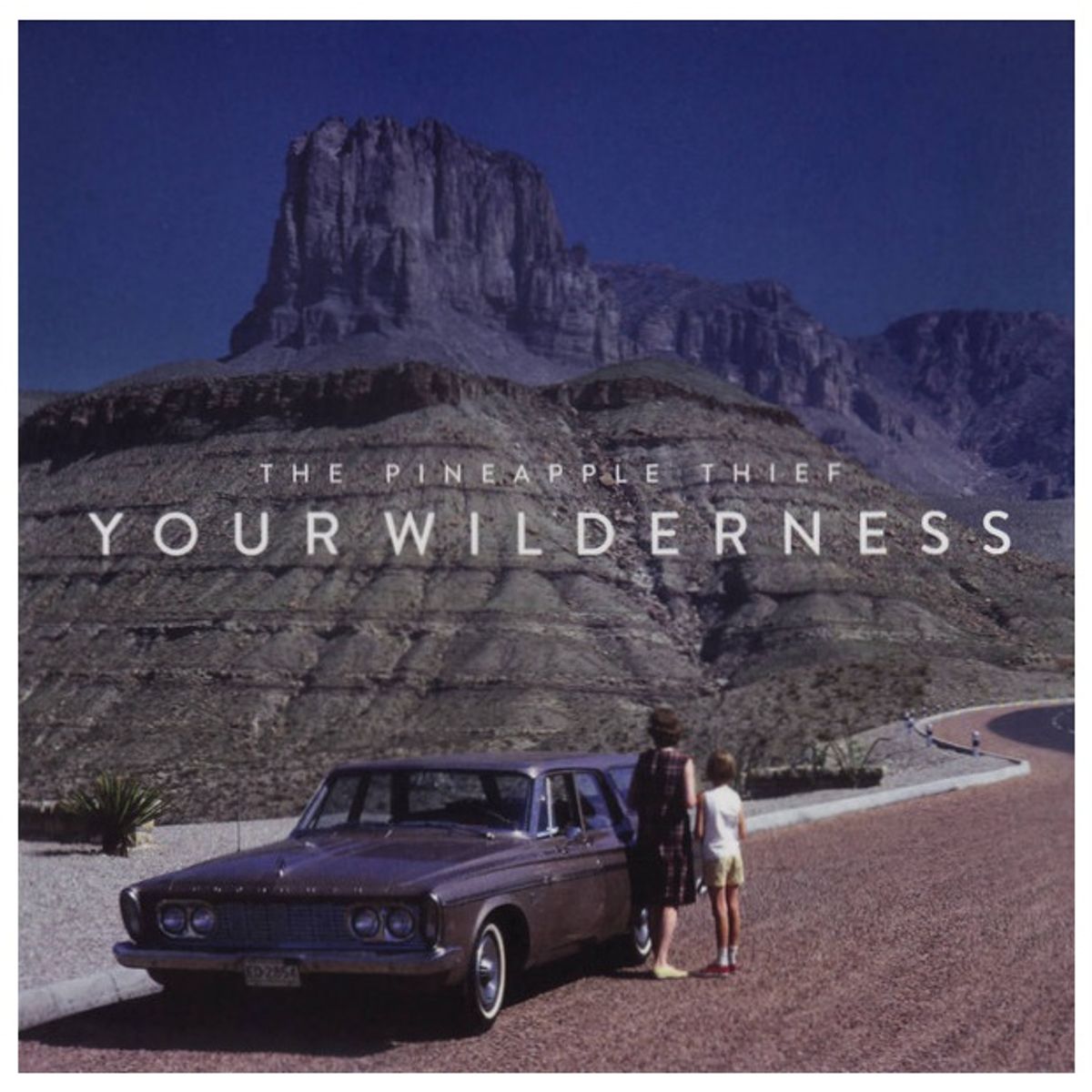 HITWAY MUSIC - PINEAPPLE THIEF - YOUR WILDERNESS - CD