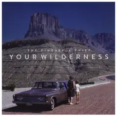 HITWAY MUSIC - PINEAPPLE THIEF - YOUR WILDERNESS - CD