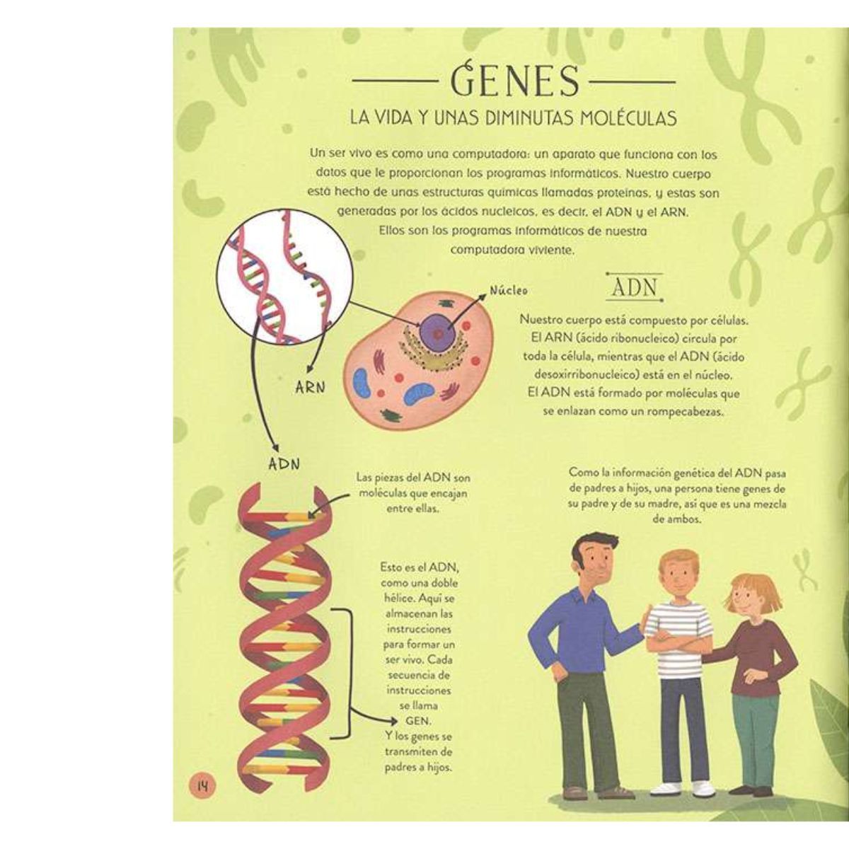SUSAETA - La evolución de la vida en la tierra