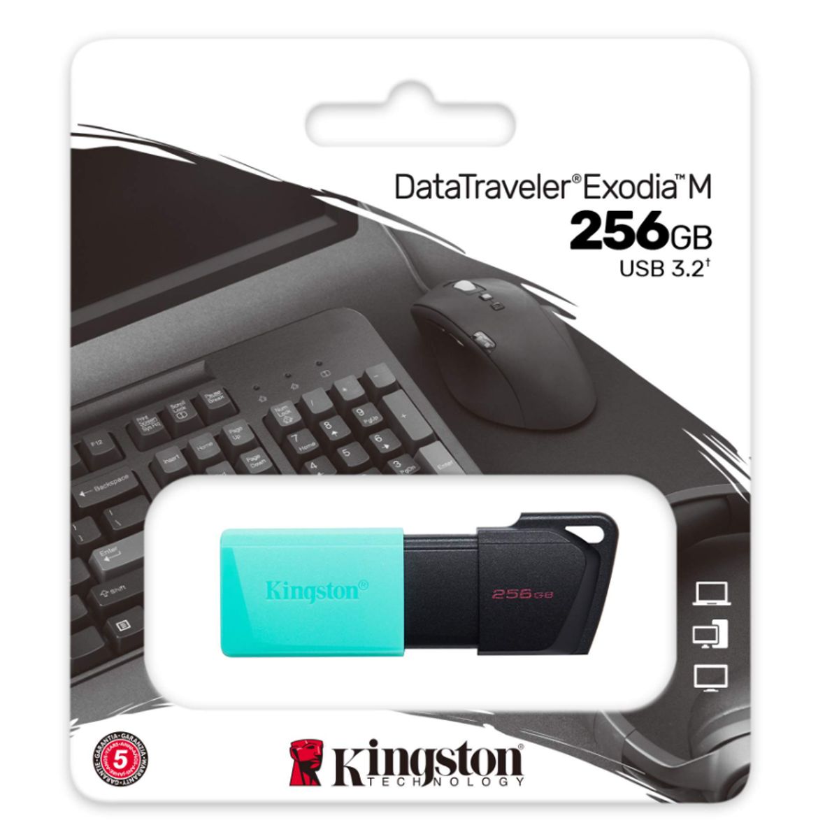 KINGSTON - Pendrive 256 GB - Kingston DataTraveler Exodia M - Unidad flash USB
