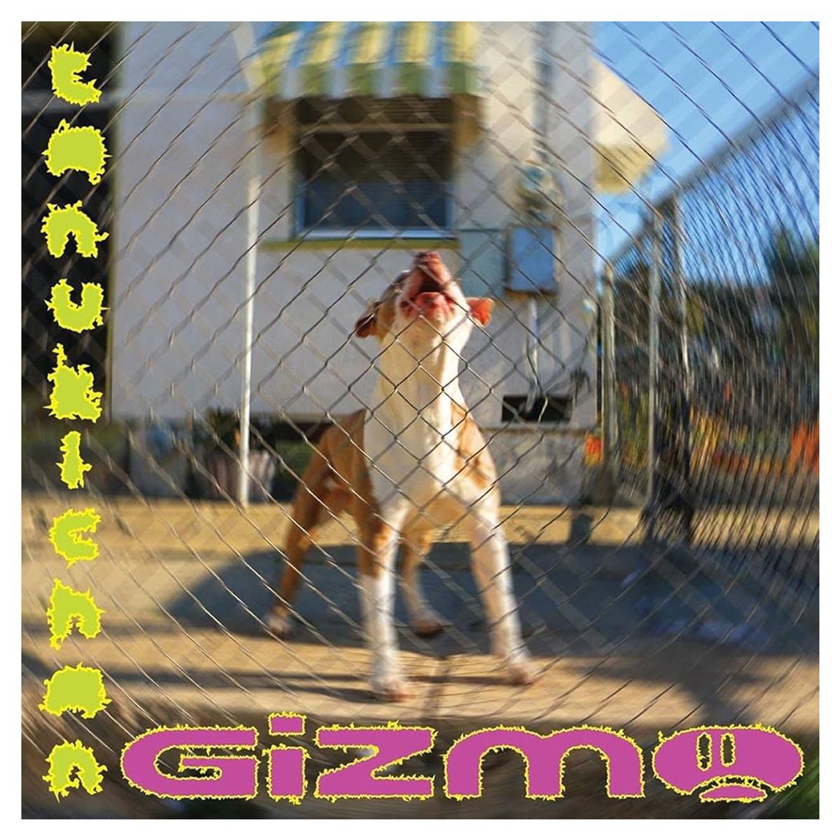 GENERICO - Tanukichan - Gizmo - Vinilo