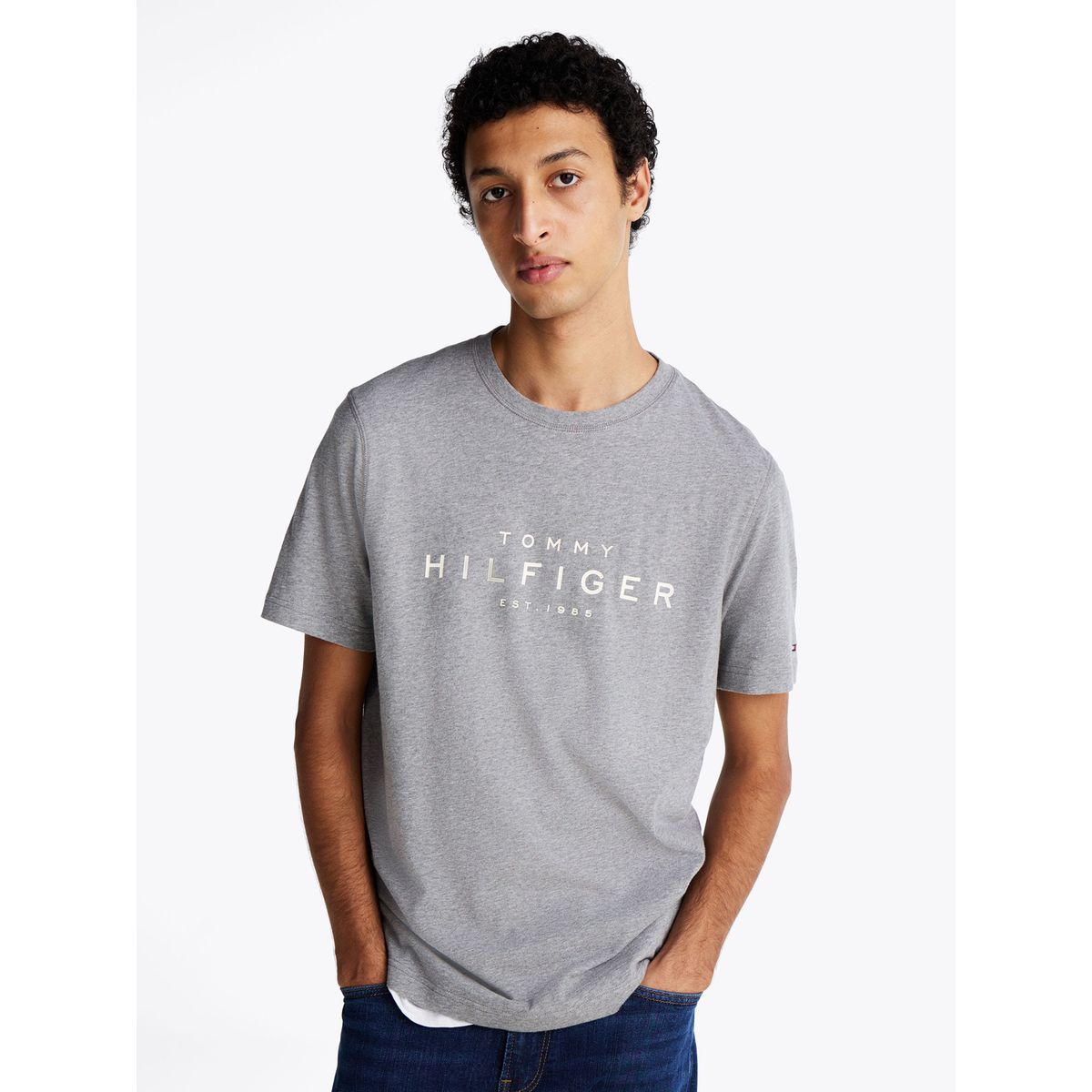 TOMMY HILFIGER - Polera Big Logo Regular Fit Gris Tommy Hilfiger