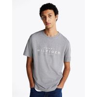 Polera Big Logo Regular Fit Gris
