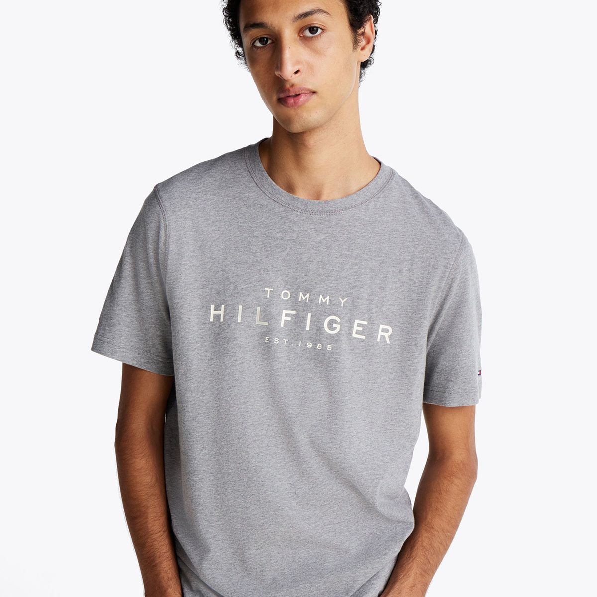 TOMMY HILFIGER - Polera Big Logo Regular Fit Gris Tommy Hilfiger