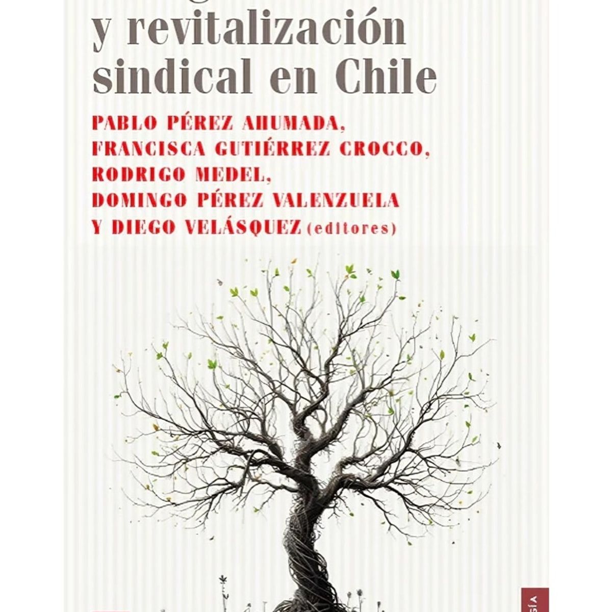 TOP10BOOKS - LIBRO Huelgas Laborales Y Revitalización Sindical En Chile