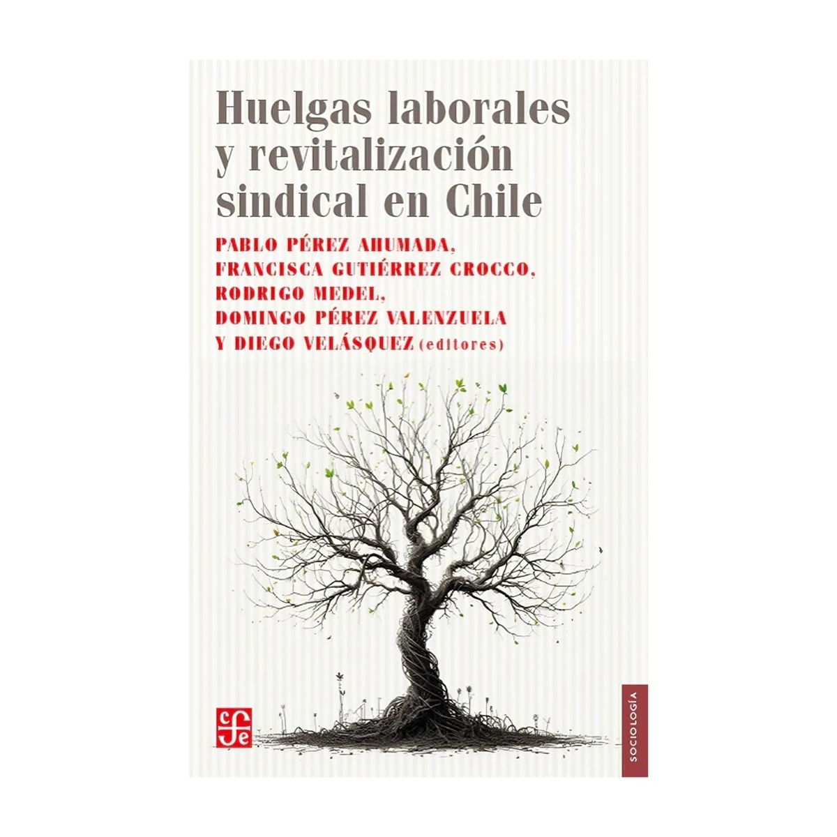 TOP10BOOKS - LIBRO Huelgas Laborales Y Revitalización Sindical En Chile