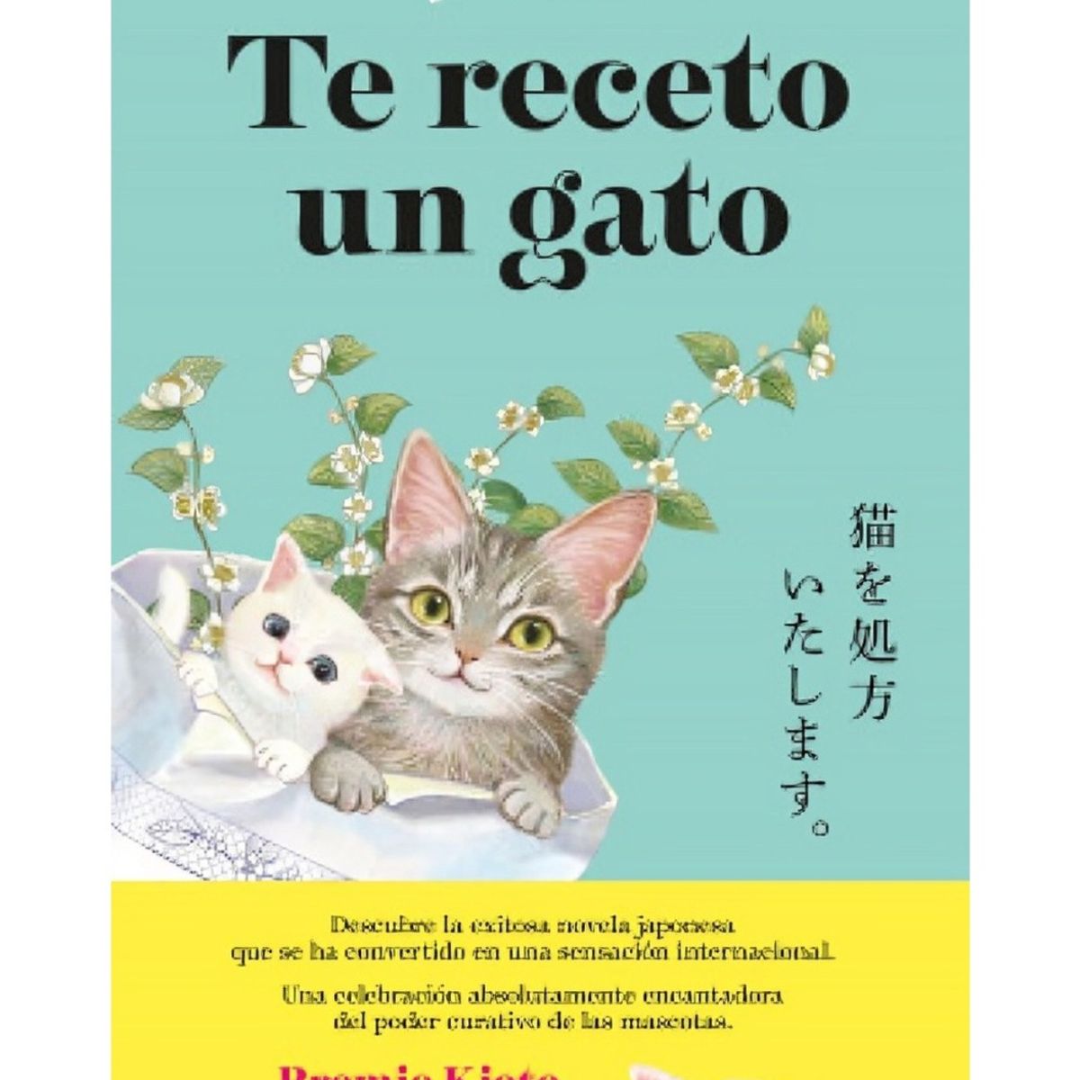 TOP10BOOKS - LIBRO Te Receto Un Gato - Syou Ishida