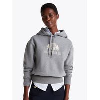 Polerón Hoodie Logo Varsity Bordado Gris