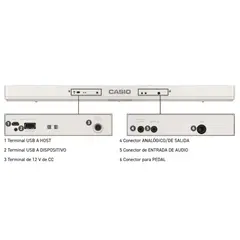 CASIO - Teclado 76 teclas CTS176WE Incluye Transformador.