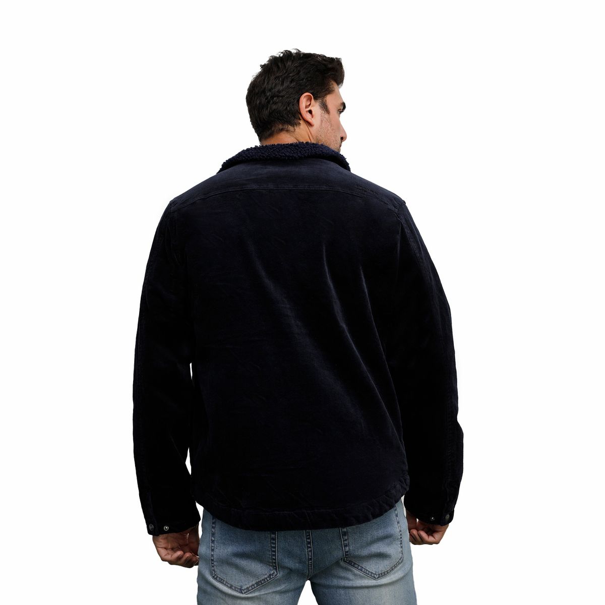 PANAMA JACK - Chaqueta Hombre V231 Panama Jack