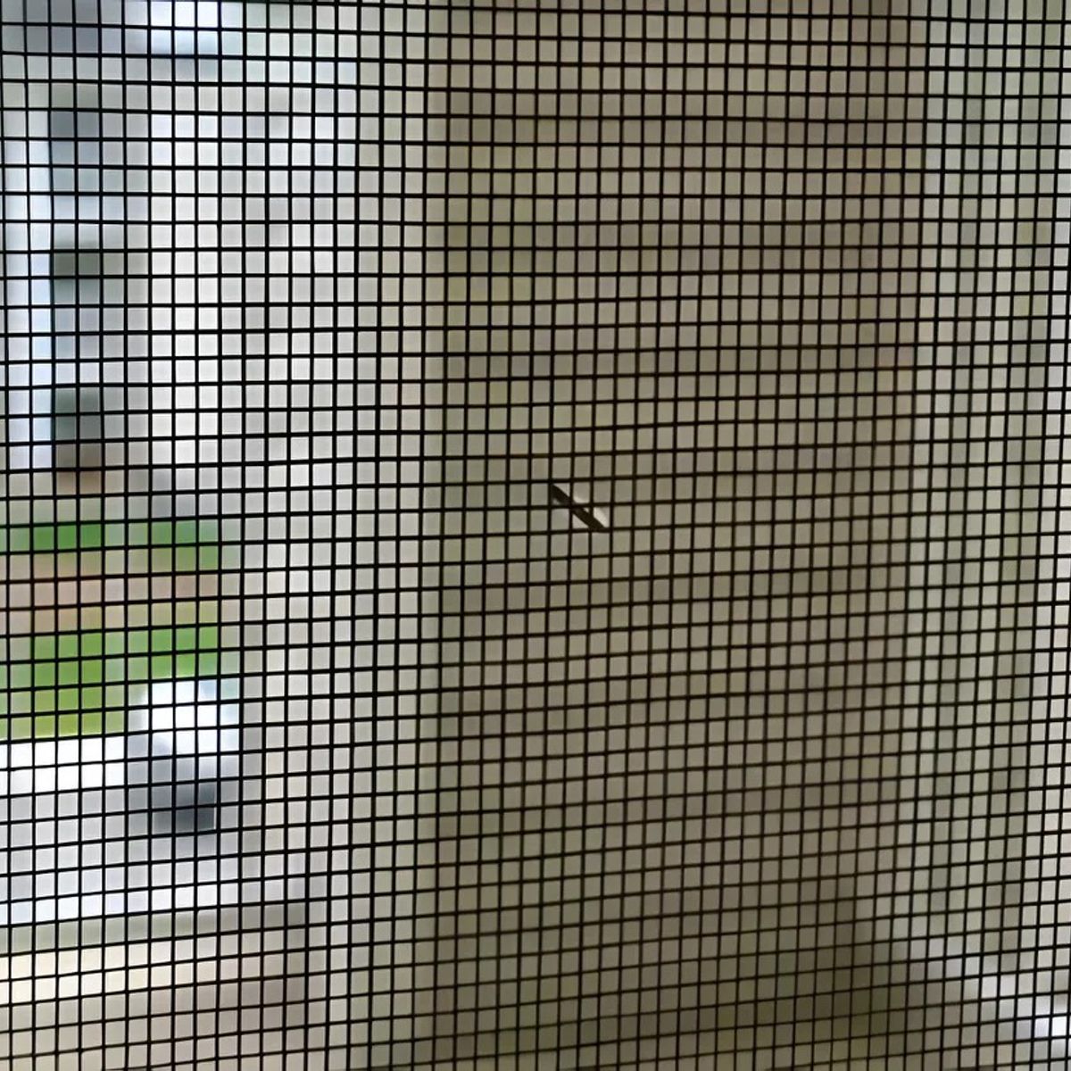 MUNDO MAGIA - Malla Mosquitera 120x4mt Fibra De Vidrio Protección Gris