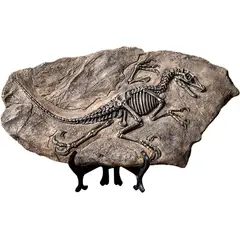 GENERICO - Fósil De Dinosaurio De Resina De Esqueleto