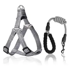 ROZENBERG SPA - Arnes Pechera Transpirable + Correa Perro Grande L Gris