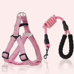 ROZENBERG SPA - Arnes Pechera Transpirable + Correa Perro Grande L Rosado
