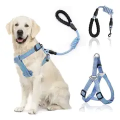 ROZENBERG SPA - Arnes Pechera Transpirable + Correa Perro Grande L Azul