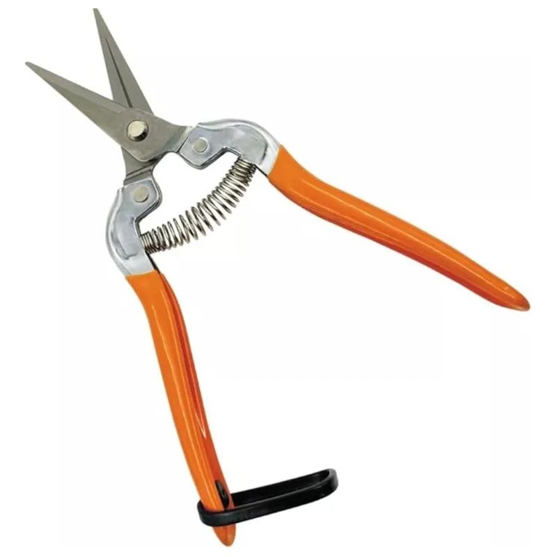ROZENBERG SPA - Tijera Recolectora Para Podar Frutas Uva 7puLG180mm