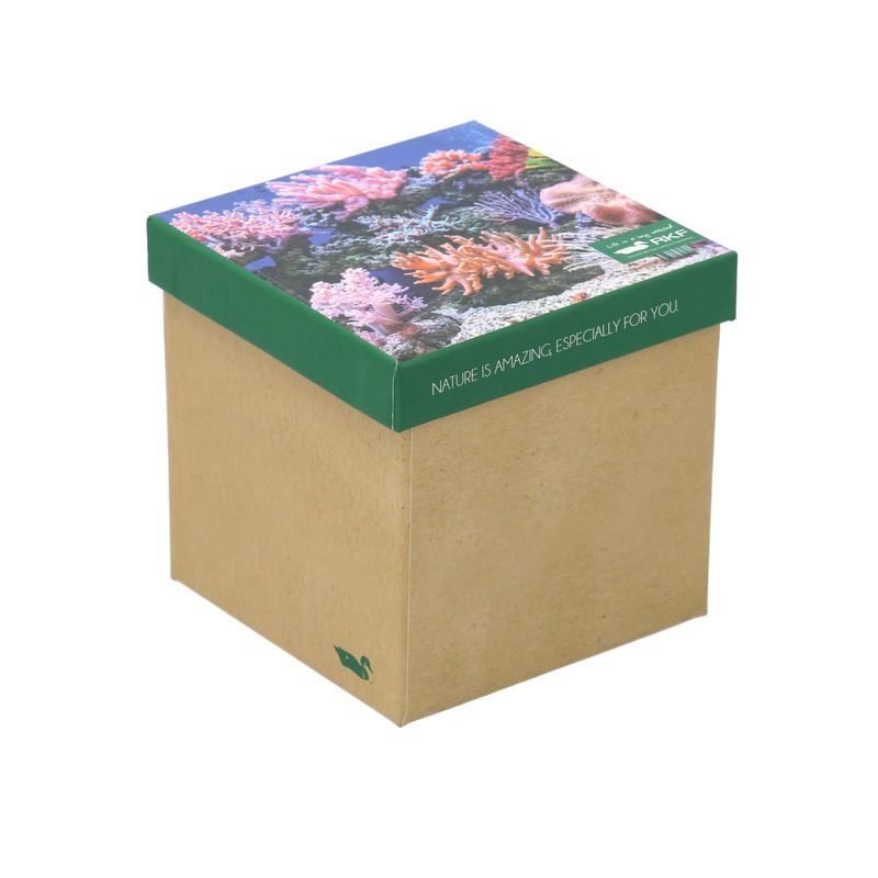 ROCKFORD - Pack 3 Calcetines Beige Gift Cor Mujer ROCKFORD
