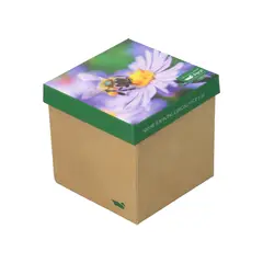 ROCKFORD - Pack 3 Calcetín Bambú Mujer Bee Multicolor