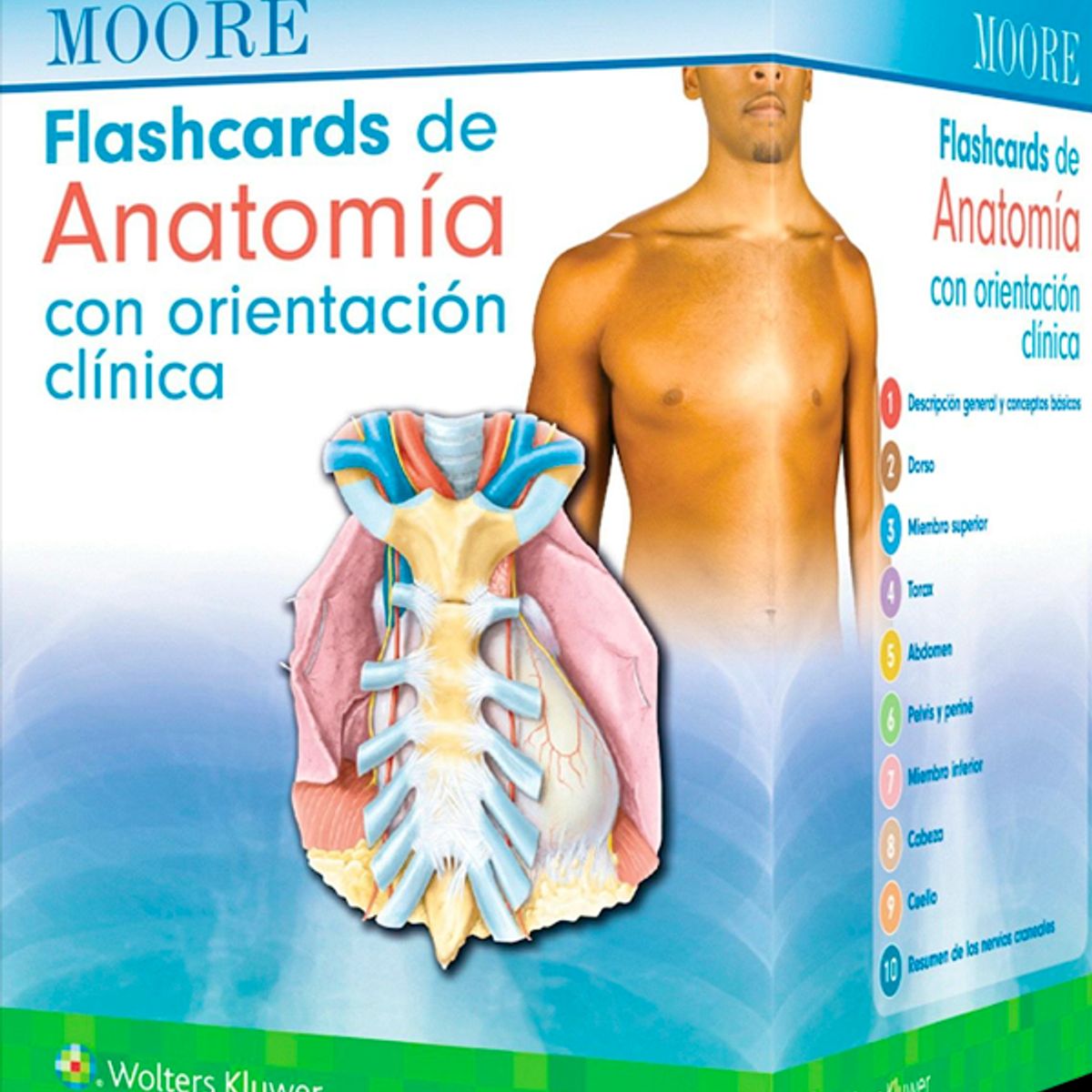EDITORIAL MEDITERRANEO - Libro Moore. Flashcards De Anatomia Con Orientacion Clinica
