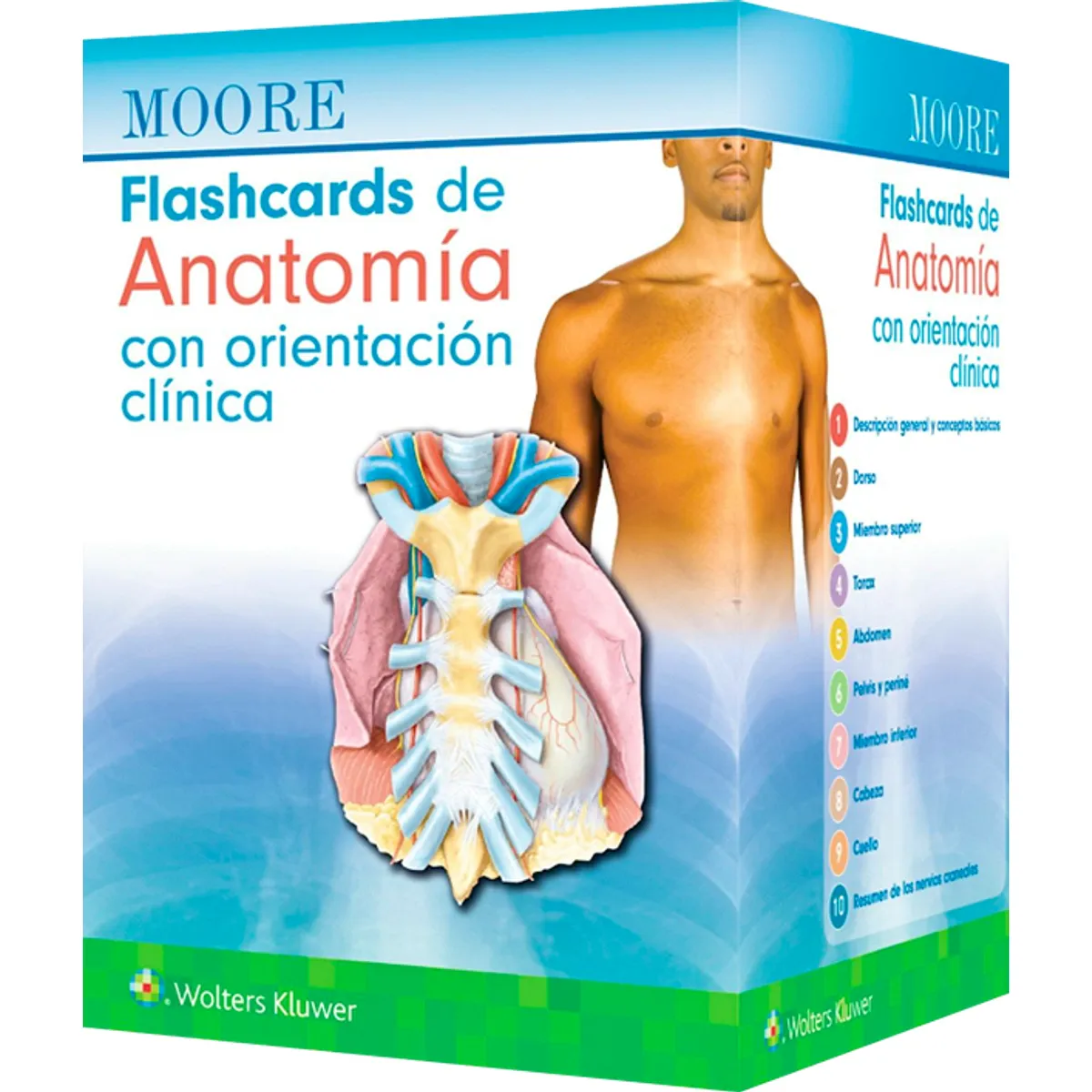 EDITORIAL MEDITERRANEO - Libro Moore. Flashcards De Anatomia Con Orientacion Clinica