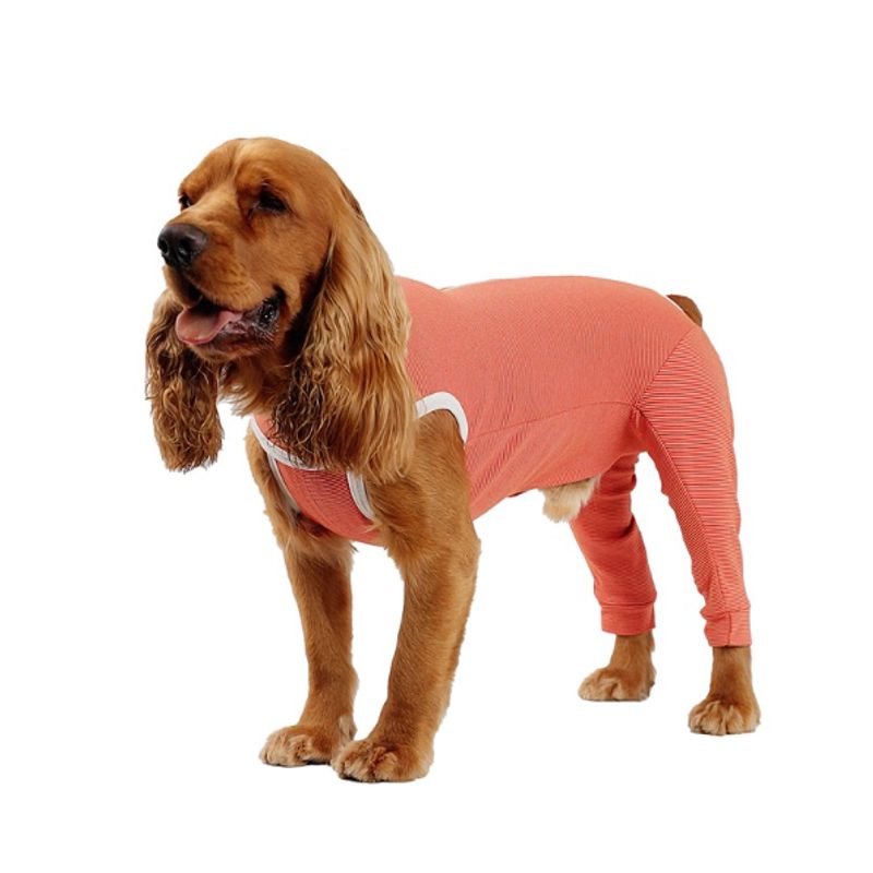 KIMBA - Body Cobre Kimba Posterior - Talla 0 (1.5 - 2.5 Kg)