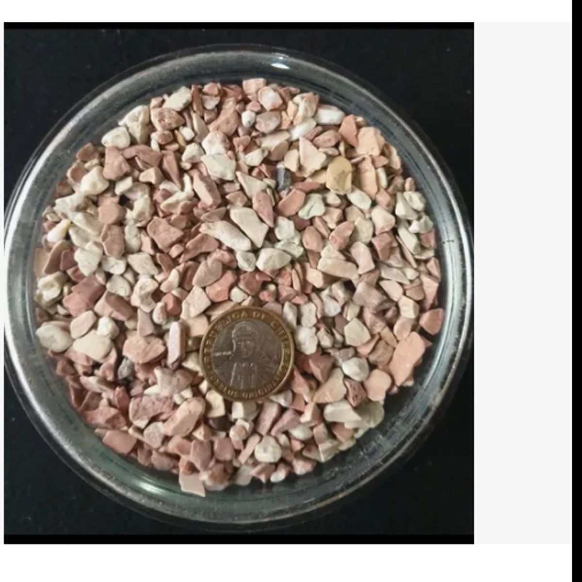 GENERICO - Piedra  Natural Sudafricana Coralito, para Acuarios. 800 gr