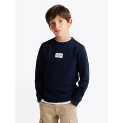 TOMMY HILFIGER - Polerón Monotype 1985 Collection Azul